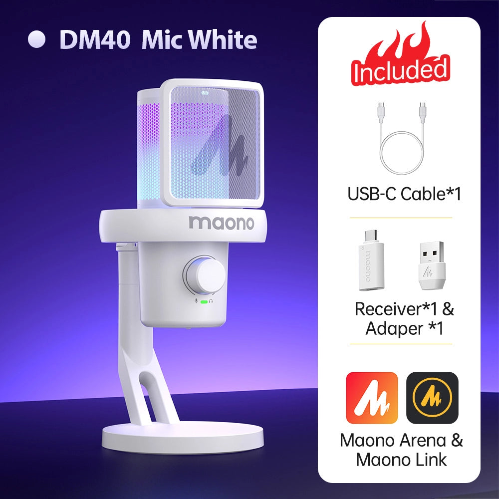DM40 Condenser Microphone