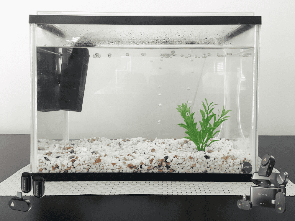 The Best Wireless Microphone Picks & Tips for GloFish Tetra Breeding Vlogs