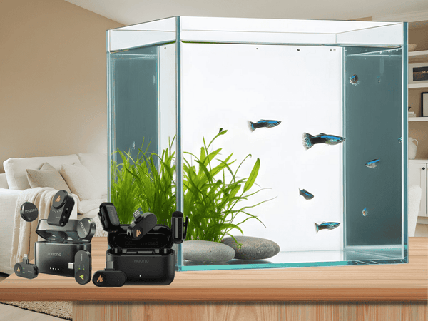 Aquarium Vlogging Basics: Recording with Wave T5 & Wave T1 Mini
