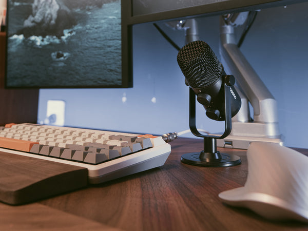 Top 10 Condenser Microphone