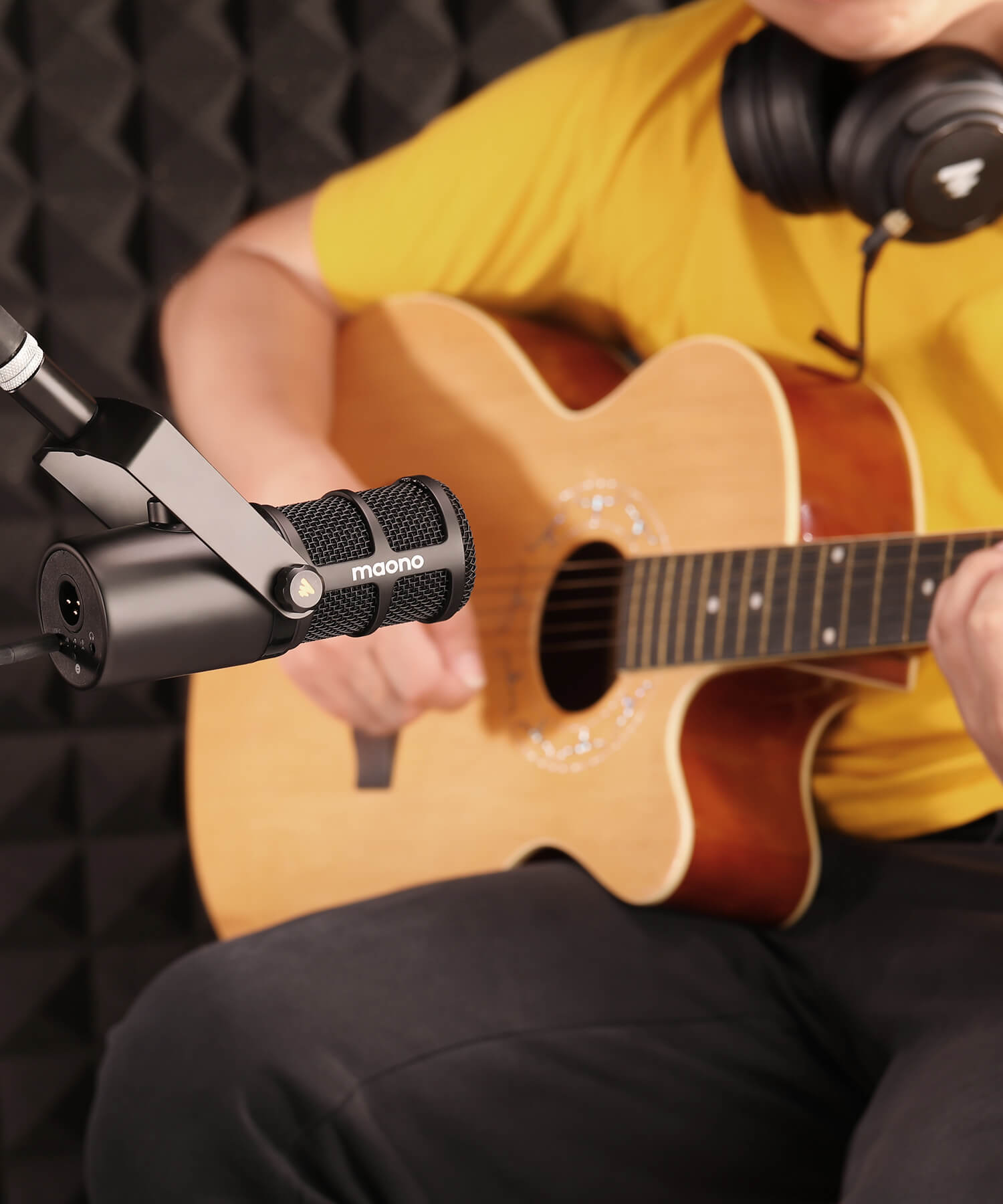 music microphone