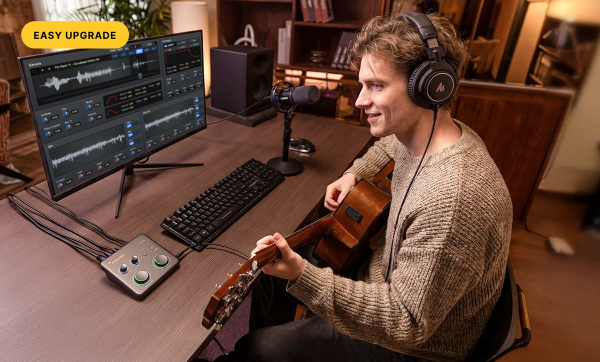 P1 Hybrid Audio Interface