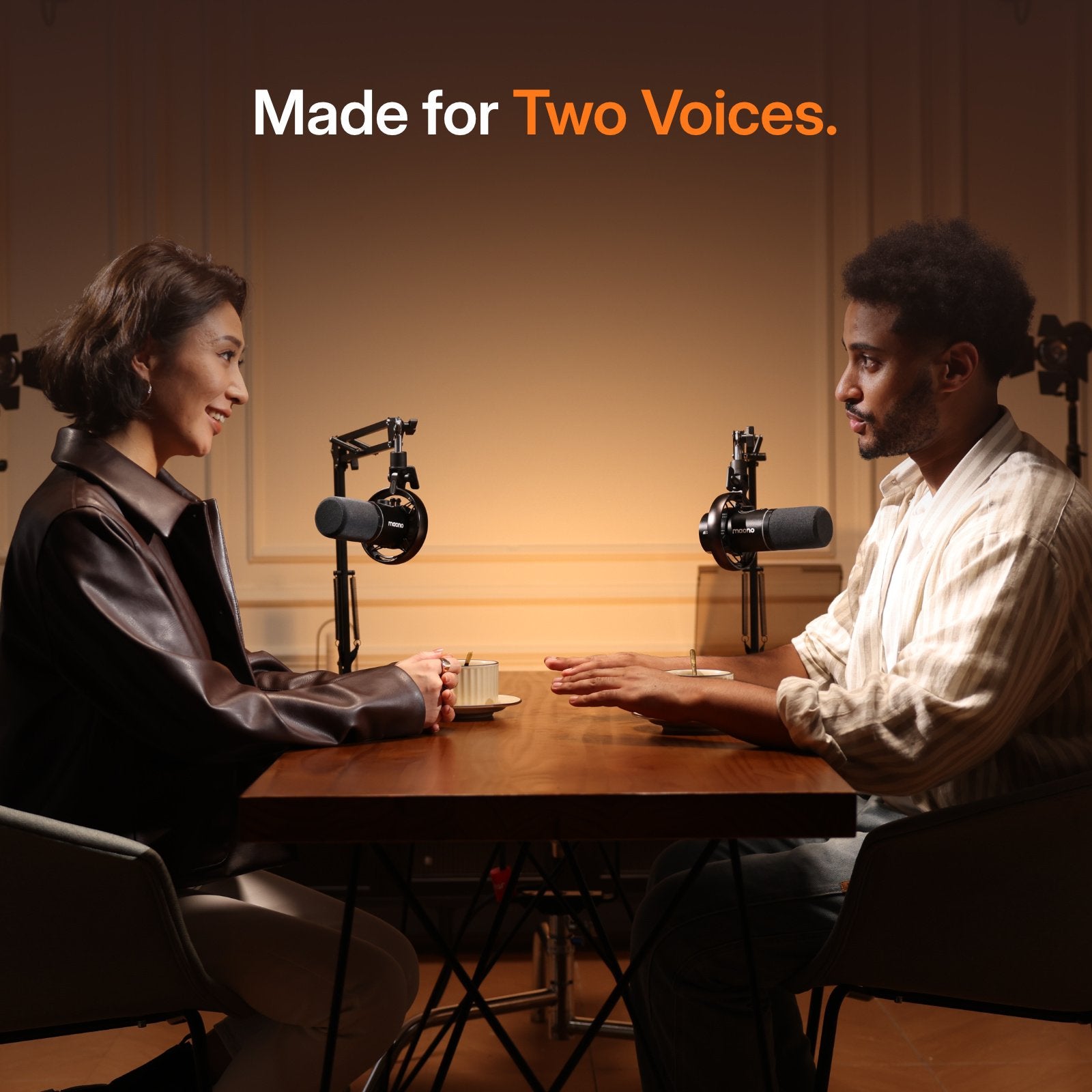 PD200W hybrid podcasting microphone for co hosted