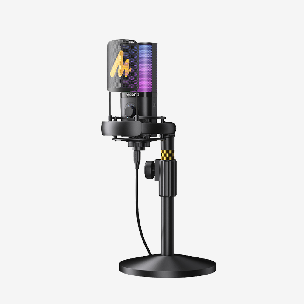 PM450 USB Condenser Microphone ( EU Clearance Only)