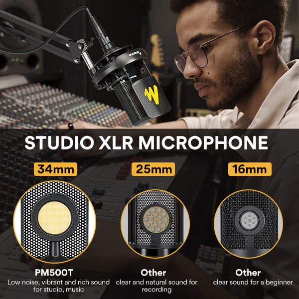 PM500 XLR Microphone 05