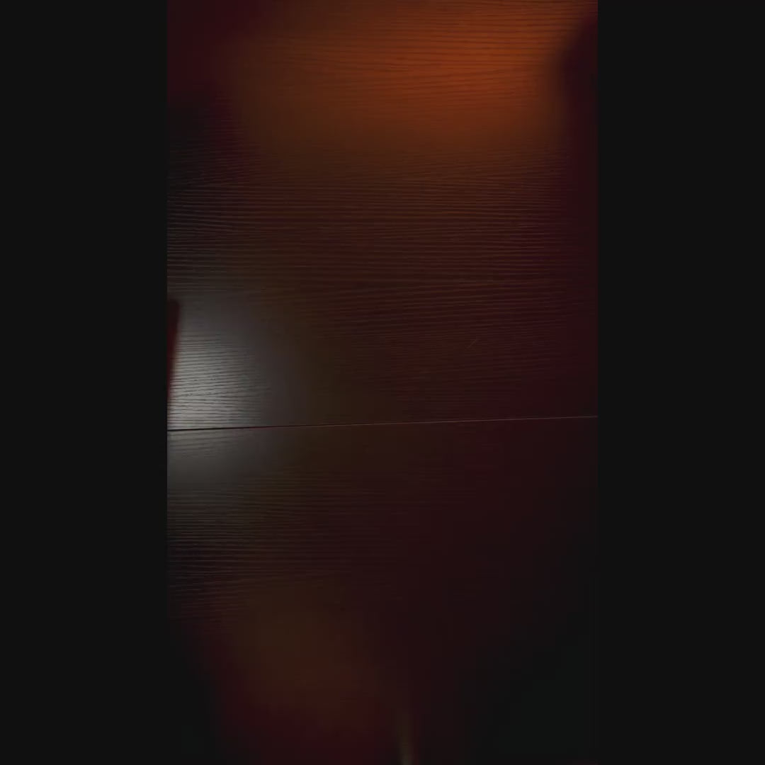 New Launch  | PD200W Hybrid Podcasting Microphone