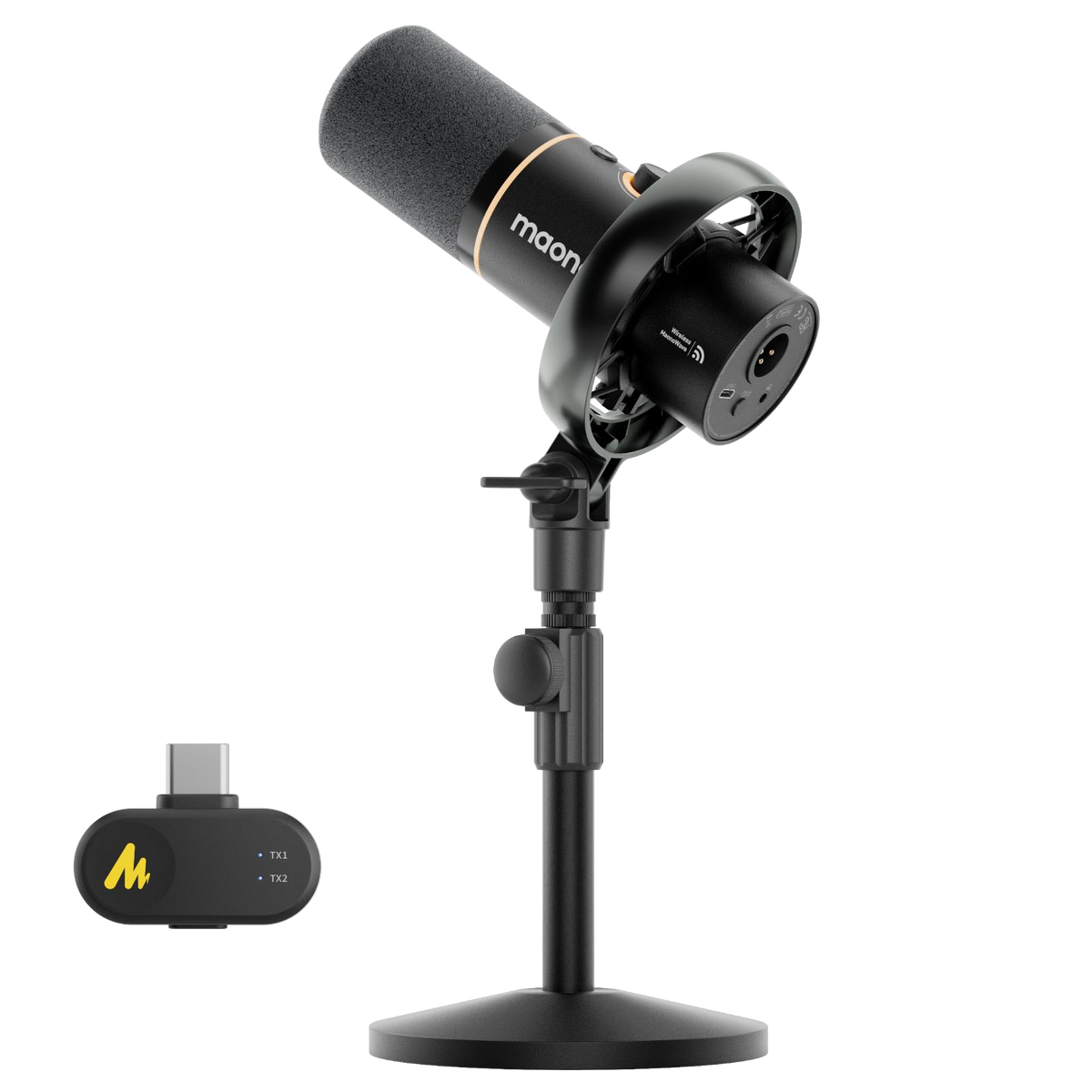 PD200W Hybrid Microphone