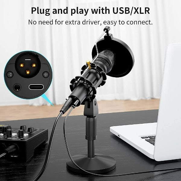 HD300 Dynamic Broadcast USB/XLR Microphone